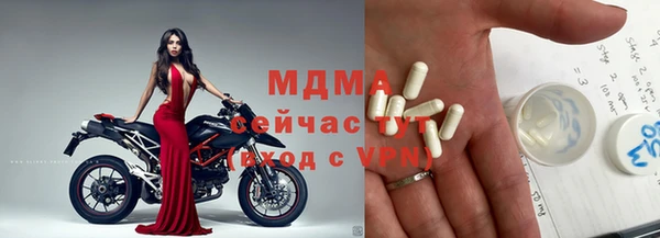 стафф Богданович