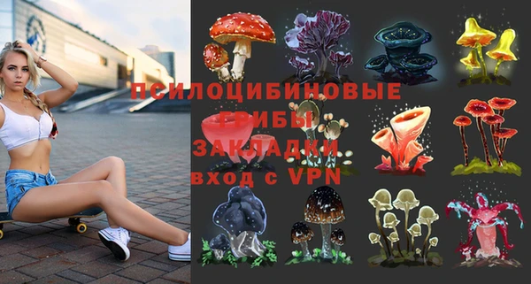 Альфа ПВП Богородицк