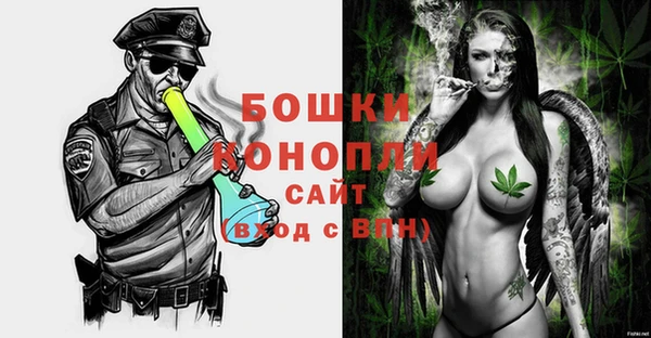 стафф Богданович