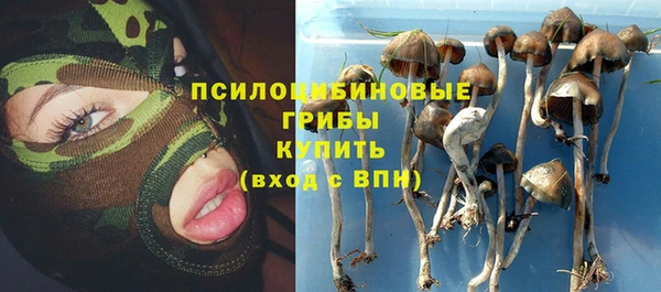 Альфа ПВП Богородицк