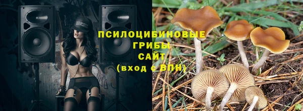 стафф Богданович